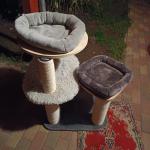 Adományok szívböl